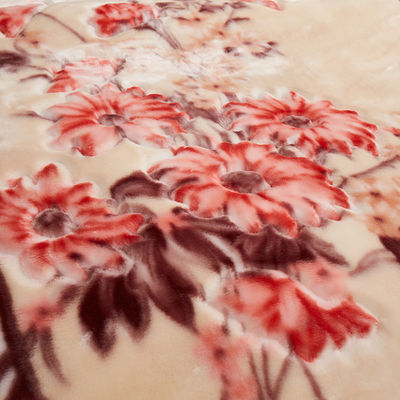 Woven Polyester Sublimation Blanket for Luxury Bed Printed Home Blanket in Winter