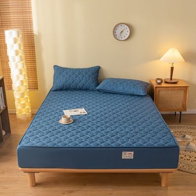 Grade A Fashion Waterproof Fitted Sheet Mattress Protector for Twin Full King Queen Size