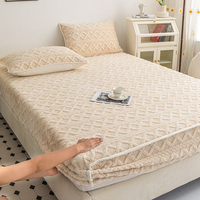 Washable Machine Wash Winter Bed Sheet Sets 100% Velvet Bed Protector Mattress Cover