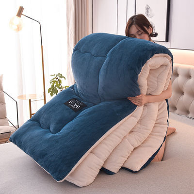 Four Seasons Universal Down Alternative Quilted Comforter Duvet Insert for All-Season