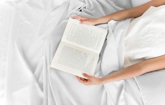Hotel Living 5 Star Luxury Home Bedding in Customized Color 100% Cotton Polyester