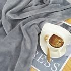 Custom Logo Embroidery Travel Blanket and Pillow Set for Comfortable Airplane Travel