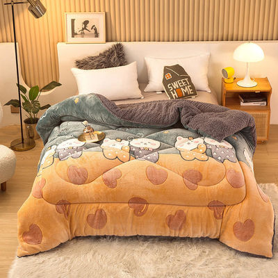 Sample Sustainable Super Soft Warm Cozy Winter Quilt Double Sided Soft Velvet Comforter
