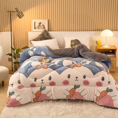 Sample Sustainable Super Soft Warm Cozy Winter Quilt Double Sided Soft Velvet Comforter