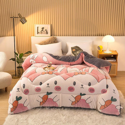 Sample Sustainable Super Soft Warm Cozy Winter Quilt Double Sided Soft Velvet Comforter