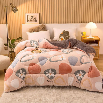 Sample Sustainable Super Soft Warm Cozy Winter Quilt Double Sided Soft Velvet Comforter