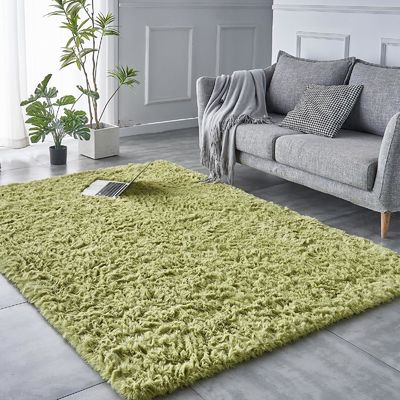 9mm Thick Large Fluffy Shag Living Room Area Rugs for Home Hotel Bathroom and Shower Room