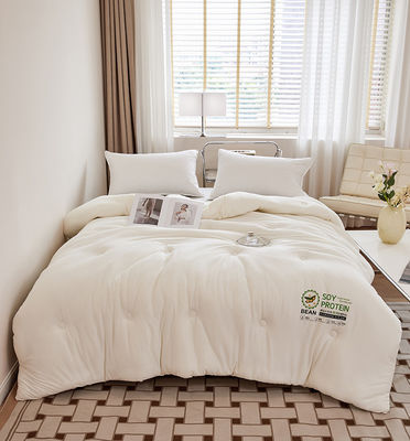 2024 Class A Customized Color Spring/Summer/Autumn/Winter Quilt for Hotel and Home