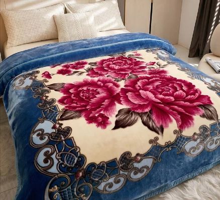 2-3KG Warm Soft Comfortable Korean Double Player Raschel Blanket with Warmth Function