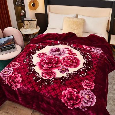 2-3KG Warm Soft Comfortable Korean Double Player Raschel Blanket with Warmth Function