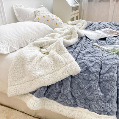 Simple Style Polar Fleece Blanket Double Sided Lamb Cashmere Plaid for Winter Nights