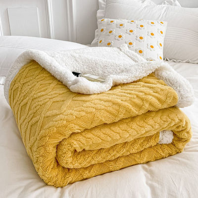 Simple Style Polar Fleece Blanket Double Sided Lamb Cashmere Plaid for Winter Nights
