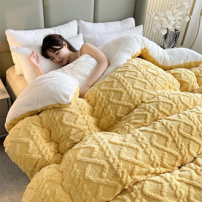 All-Season Home Textile Duvet Quilt Thickened Warm Taffeta Winter Quilt with Comforter