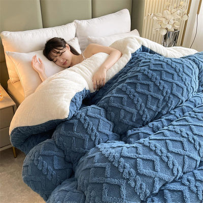 All-Season Home Textile Duvet Quilt Thickened Warm Taffeta Winter Quilt with Comforter